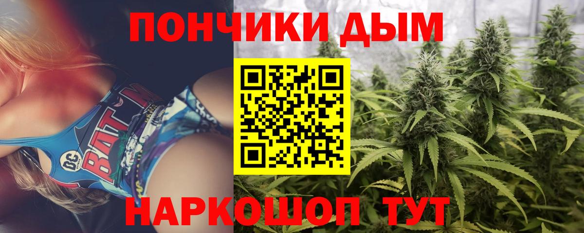 Марихуана сатива  Шишки марихуана план  Вход с VPN  Котовск  Конопля сатива  Каннабис Ganja 